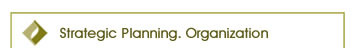 Estrategic Planning. Organization