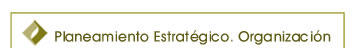 Planeamiento Estrat&eacute;gico. Organizaci&oacute;n