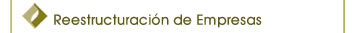 Reestructuraci&oacute;n de Empresas